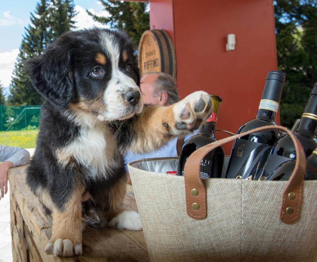 Erlebacherhus Lenzerheide Eksteriør billede
